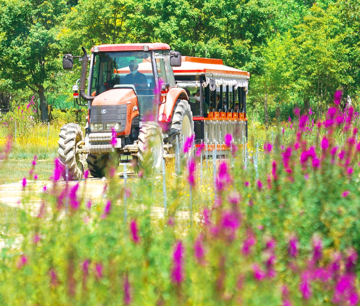 恵庭市営住宅窓口センター｜恵庭市の市営住宅入居・手続き窓口