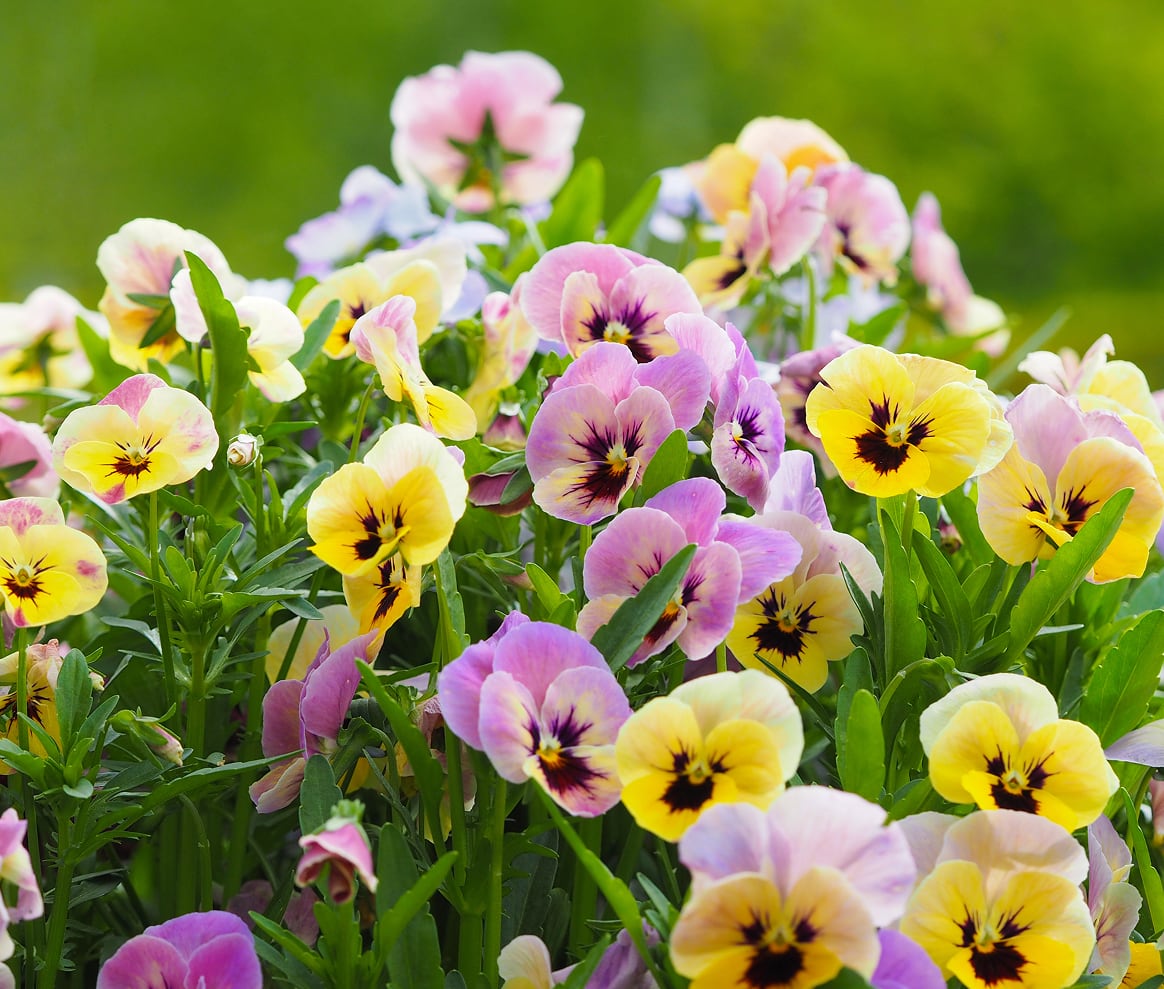 恵庭市営住宅窓口センター｜恵庭市の市営住宅入居・手続き窓口